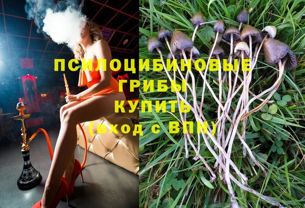герыч Арсеньев