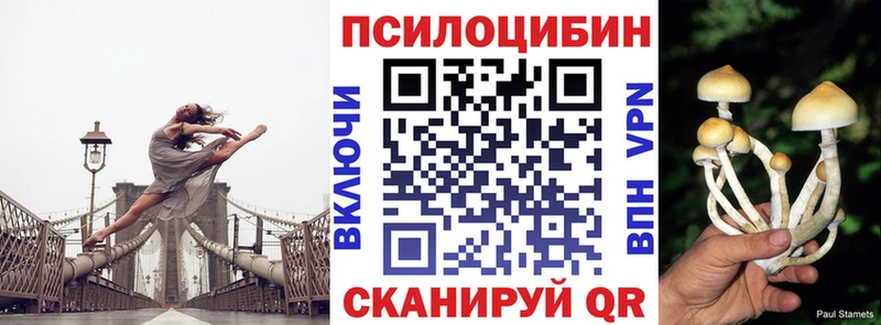 Галлюциногенные грибы Psilocybine cubensis  купить наркотик  Бронницы 